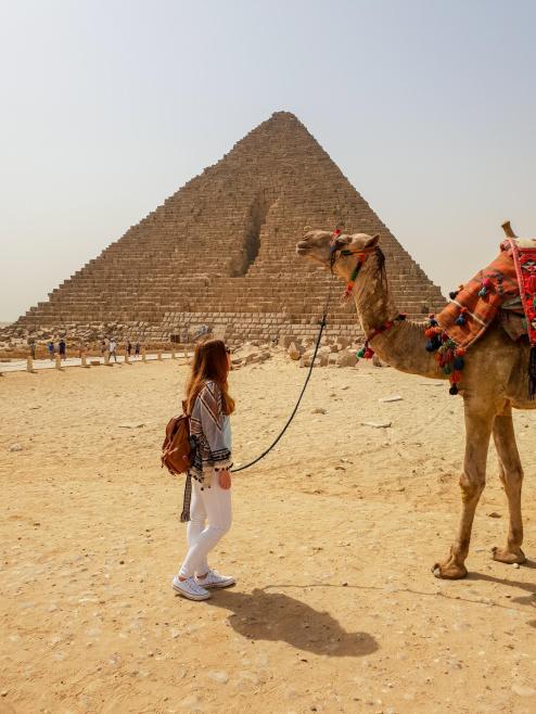 egipto-piramides-camello